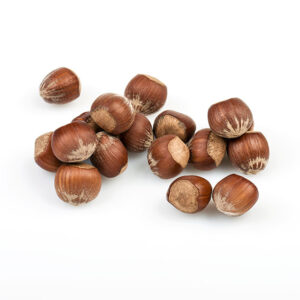 Hazelnuts in shell Roasted round hazelnuts in shell