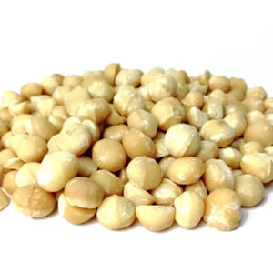 Macadamia nuts